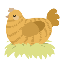 What A Fool Believes, a honey and gold chicken with a bar pattern