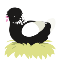 Charcoal Cocktail, a sable and white chicken with a neck-speckle pattern