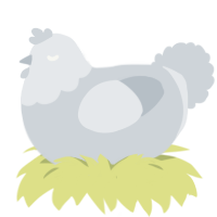 A mist chicken with a head pattern