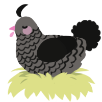 A grey and black chicken with a lace pattern