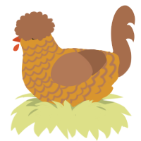 Rudra, a orange and brown chicken with a lace pattern