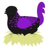 A sable and violet chicken with a half-lace pattern