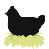 (unnamed), a black chicken with a lace pattern