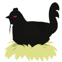 A black chicken with a half-lace pattern