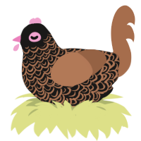 A sable and brown chicken with a double-lace pattern