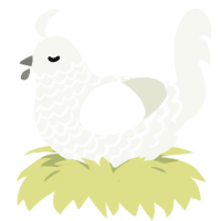 A white chicken with a lace pattern