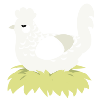 (unnamed), a white chicken with a half-lace pattern
