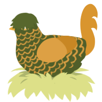 A olive and orange chicken with a lace pattern