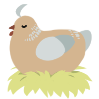 brown dove, a beige and silver chicken with a neck-band pattern