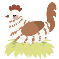 A white and brown chicken with a bar pattern