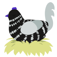 A sable and silver chicken with a bar pattern