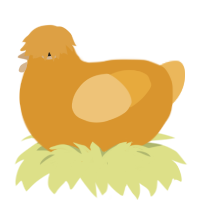 A orange and honey chicken