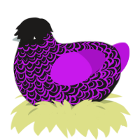 A sable and amethyst chicken with a double-lace pattern