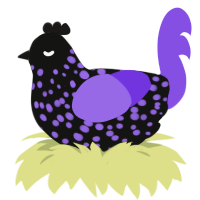 Black Sapphire, a black and blurple chicken with a speckle pattern