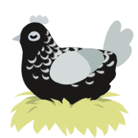 A sable and silver chicken with a half-lace pattern