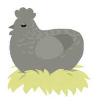 A ash chicken with a half-lace pattern