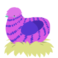 Russo, a orchid and indigo chicken with a bar pattern