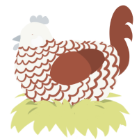 A white and russet chicken with a lace pattern