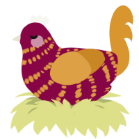 A maroon and orange chicken with a bar pattern