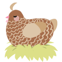A brown and beige chicken with a lace pattern