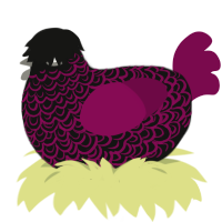 red onion, a black and wine chicken with a double-lace pattern
