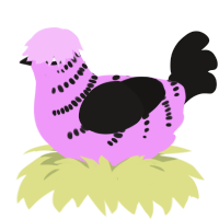 A lavender and sable chicken with a half-bar pattern