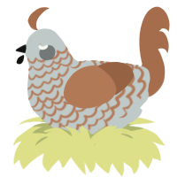 A silver and brown chicken with a lace pattern