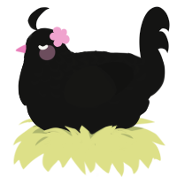 A black chicken with a half-lace pattern