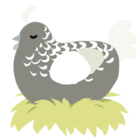 A ash and white chicken with a half-lace pattern