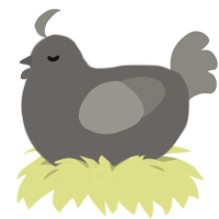 A grey and ash chicken
