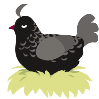 A sable and grey chicken with a half-lace pattern