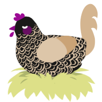A sable and beige chicken with a double-lace pattern
