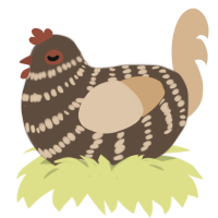 A bark and beige chicken with a bar pattern