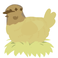 A navy chicken with a half-bar pattern