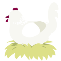 A white chicken with a neck-speckle pattern