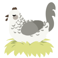 Oreo, a white and ash chicken with a half-lace pattern