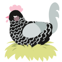 A sable and silver chicken with a lace pattern