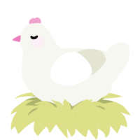 A white chicken