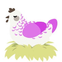 A white and orchid chicken with a half-lace pattern