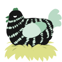 A black and spring chicken with a bar pattern