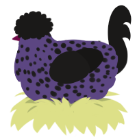 A overcast and sable chicken with a speckle pattern