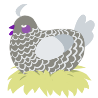 A ash and mist chicken with a lace pattern