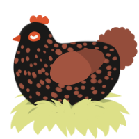A sable and russet chicken with a speckle pattern