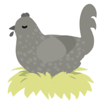 A ash chicken with a speckle pattern