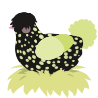 A sable and lemon chicken with a speckle pattern