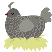 A grey and ash chicken with a lace pattern