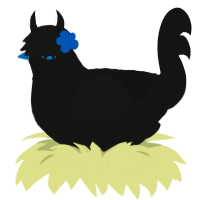 A black chicken with a lace pattern