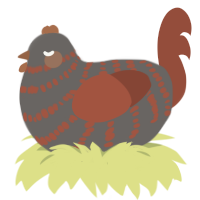 A grey and russet chicken with a bar pattern