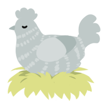 Pastel, a silver chicken with a bar pattern