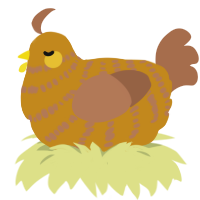 A ochre and brown chicken with a bar pattern